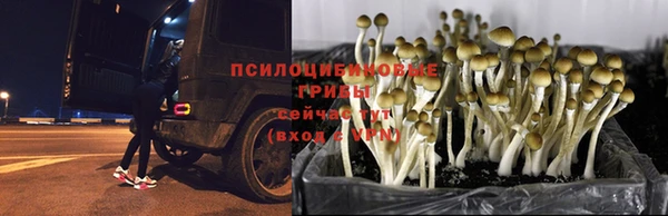 герыч Ельня