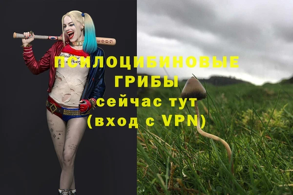 спиды Семикаракорск
